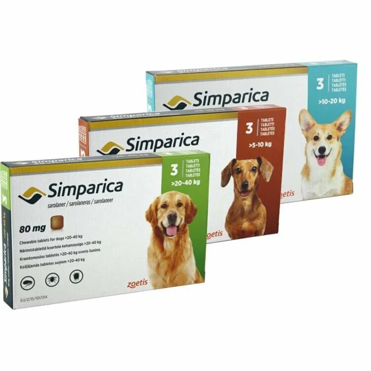 доктор холли старый оскол