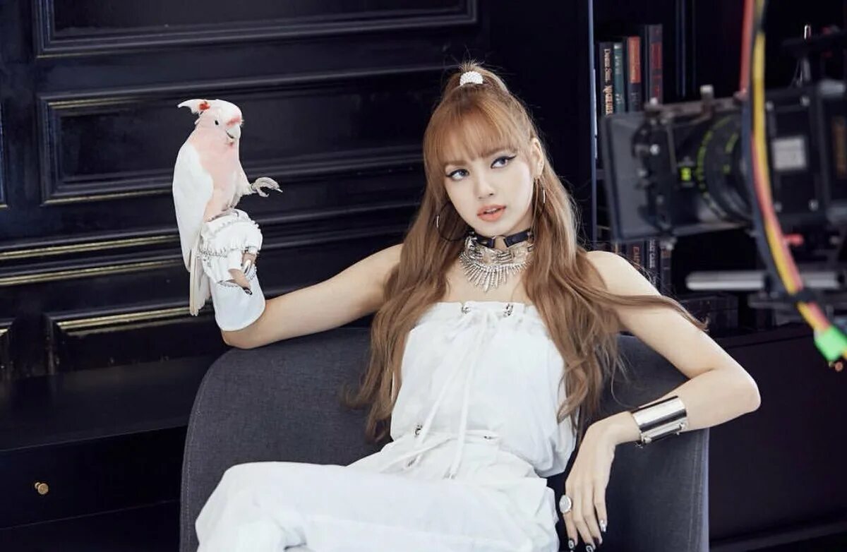 Блэк пинк 2021. Lisa blackpink. Лиса блэк пинк. Лалиса манобан black pink. Лиса из блэк пинк лалиса.