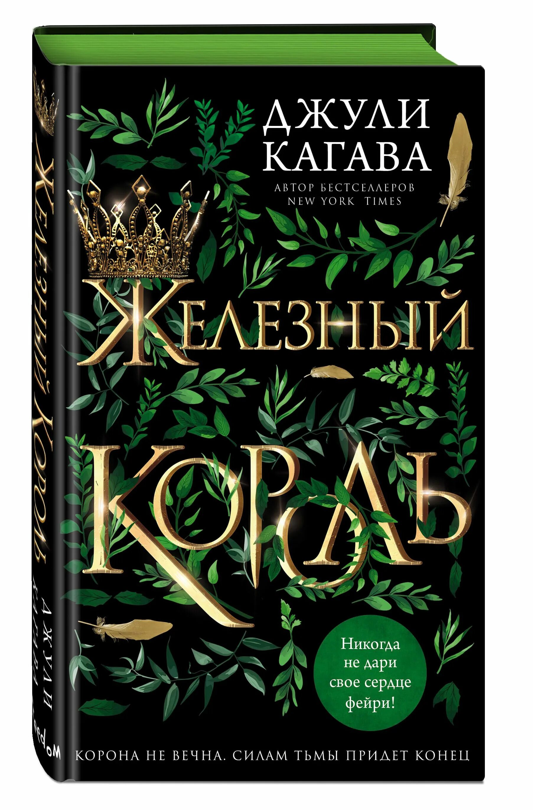 Железный Король книга Джули Кагава. Железная принцесса Джули Кагава. Кагава Джули "железная дочь". Книг Джули Кагавы «железные Фейри». Купить книгу металлическую