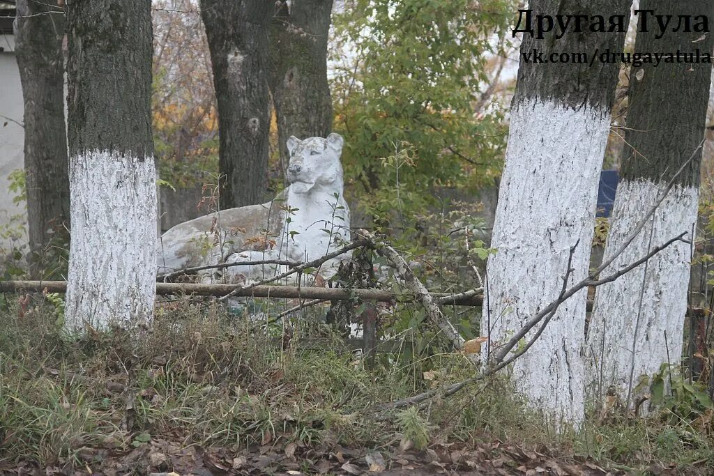 Болохово соловцова 13. Пос болохово тульская область. Болохово школа 1. Болохово тульская область. Погода в болохово тульской.