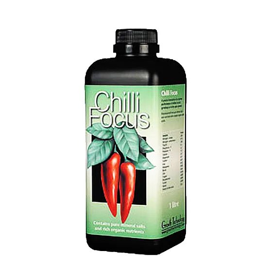 Стимулятор роста для перца. Chilli Focus удобрение. Удобрение для перца Chilli Focus 100 мл. Стимулятор роста для рассады. Стимуляторы роста для рассады цветов.