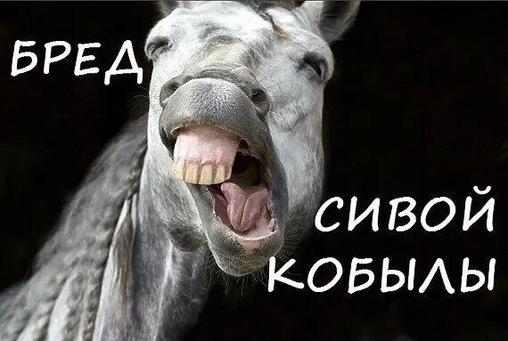 Как сивый мерин значение. Бред сивой кобылы. бред сивой кобылы картинки. сивая кобыла значение. бред сивой кобылы иллюстрации.
