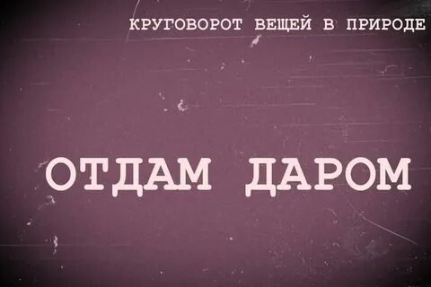 Новая жизнь не дается даром читать