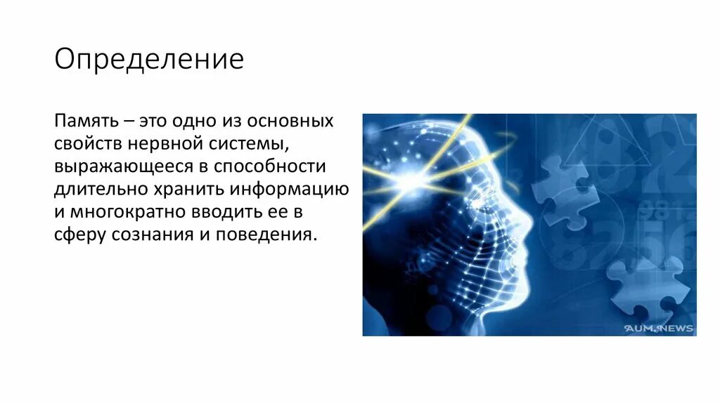 Память человека. Память презентация. Из кратковременной памяти в долговременную. Кратковременная память человека.