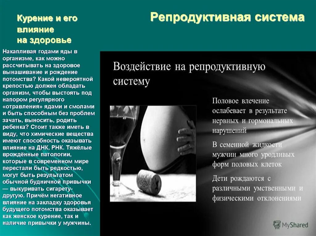 Как влияет на здоровье женщины. Влияние курения на репродуктивную систему. влияние табакокурения на репродуктивную систему. влияние табакокурения на репродуктивное здоровье. влияние табачного дыма на репродуктивную систему.