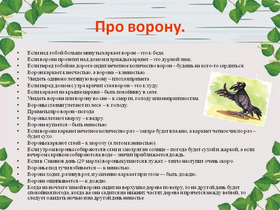 Воронье приметы. Приметы про ворон. ворона приметы. вороны приметы.