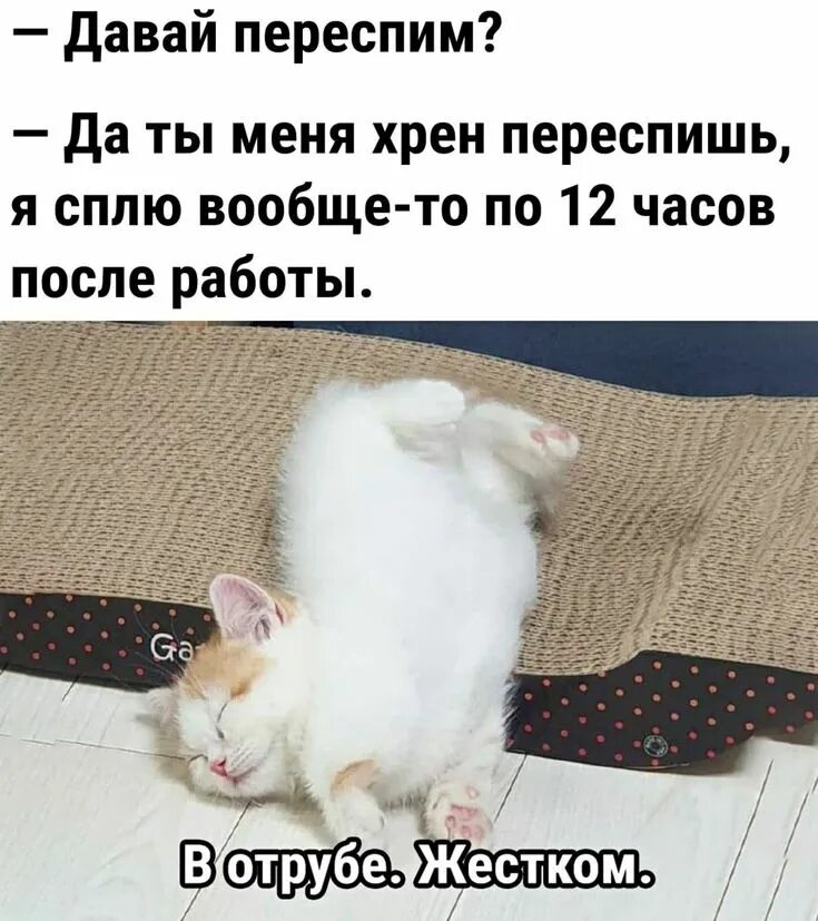 Ты будешь нормальным неть. Вообще то ты забыла. Я забыл. Я забыл. Вообще ты меня бесишь.