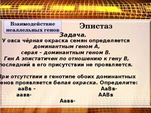 Ген эпистатичен по отношению к Гену в. Задачи на эпистаз. У овса чёрная окраска семян определяется доминантным геном а а серая. Задачи на эпистаз с решением.