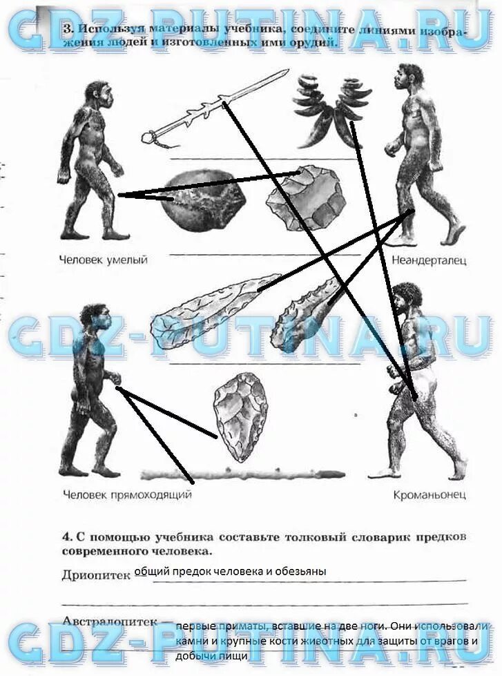 Контрольная работа по естествознанию 5 класс. Тест по естествознанию 5 класс. задания по естествознанию 5 класс с ответами.