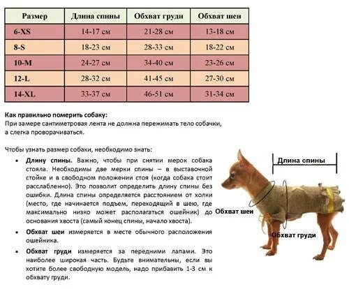 Как измерить собаку для одежды. Размерная сетка для собак мелких пород чихуахуа. размерная сетка для собак мелких пород той терьер. таблица размеров одежды для собак мелких пород чихуахуа. размеры одежды для собак чихуахуа таблица.