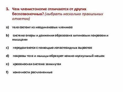 Отличия членистоногих