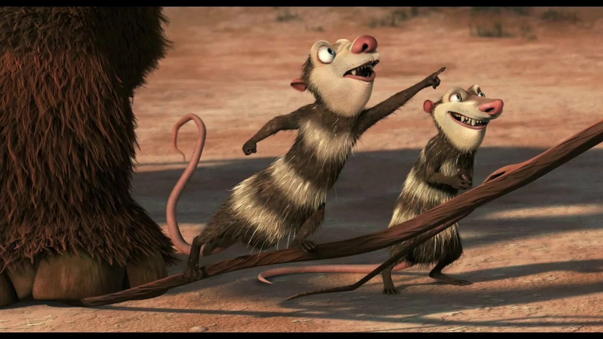 Крэш и эдди ледниковый период в хорошем качестве. Опоссумы крэш и эдди. Ледниковый период два опоссума. Опоссумы крэш и эдди из ледникового периода. Ледниковый период 2 опоссумы.