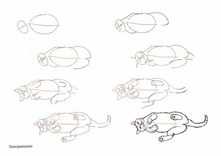 Как нарисовать лежащую кошку