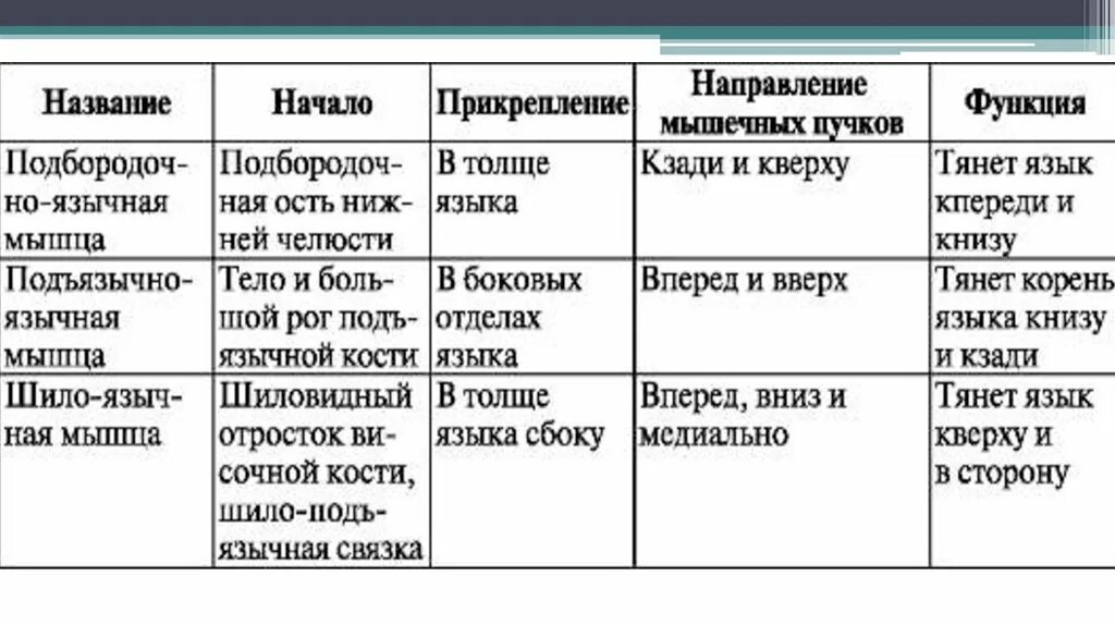 Мышцы языка тип ткани. Мышцы языка таблица. собственные мышцы языка таблица. мышцы языка функции таблица. функции мышц языка.