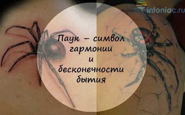 Что символизирует паук. Паук символ чего. что символизирует паук в психологии. что символизирует собой паук.