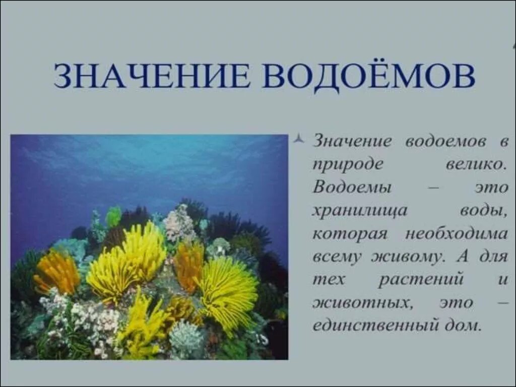 Что значит водоемы. Что значит водоемы. Что значит водоемы. Водоемы окружающий мир. Водоемы нашего края.