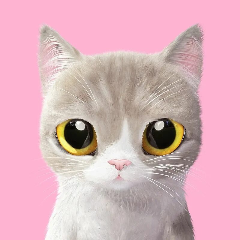 Макото мурамацу кошки. Sugar cats. Обои кошки. Sugar cat обои. Sugar cat обои.