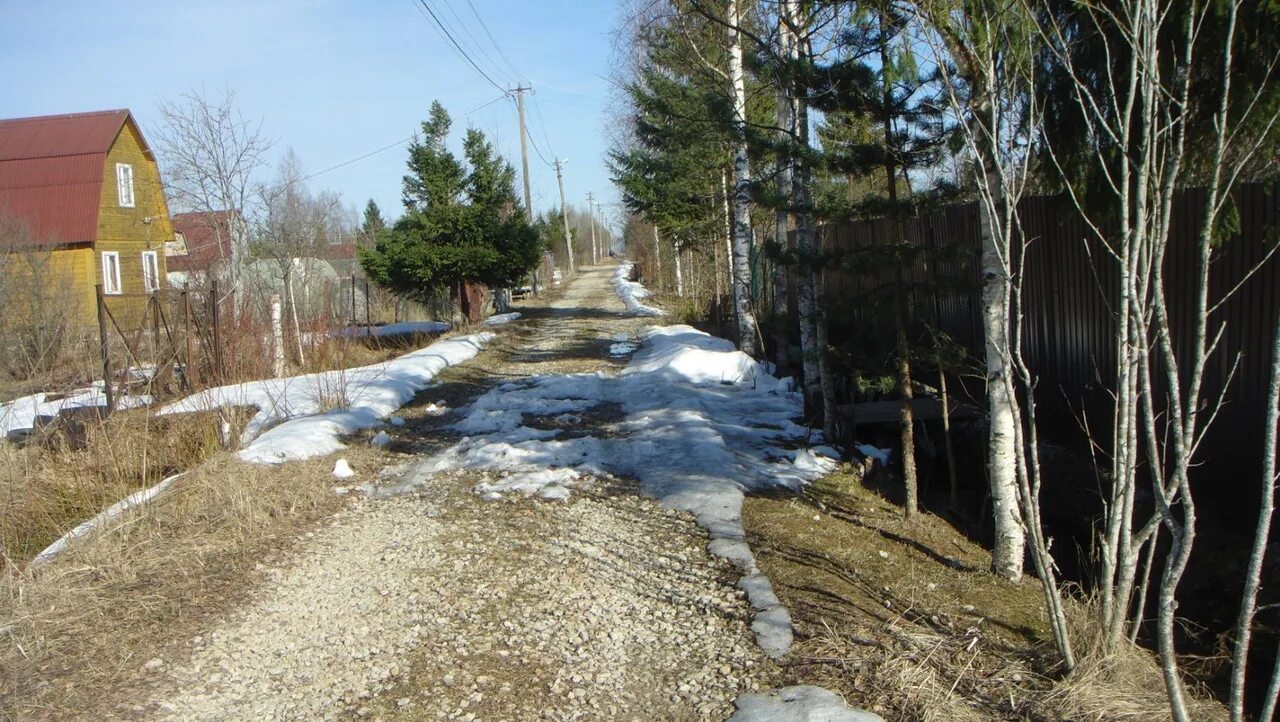 Садоводстве лес