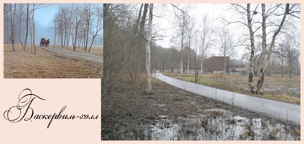 девоншир англия баскервиль холл. замок баскервилей. где снимали собака. собака баскервилей баскервиль холл. шерлок холмс собака баскервиль.