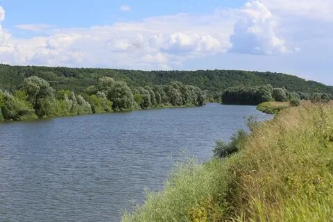 Река вила