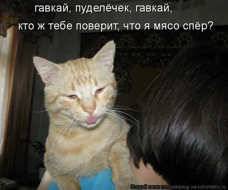 зверю ты поверь. волки самые верные. картинки с волками и надписями. верю мама верю слова. тест на по что ты какой зверь.