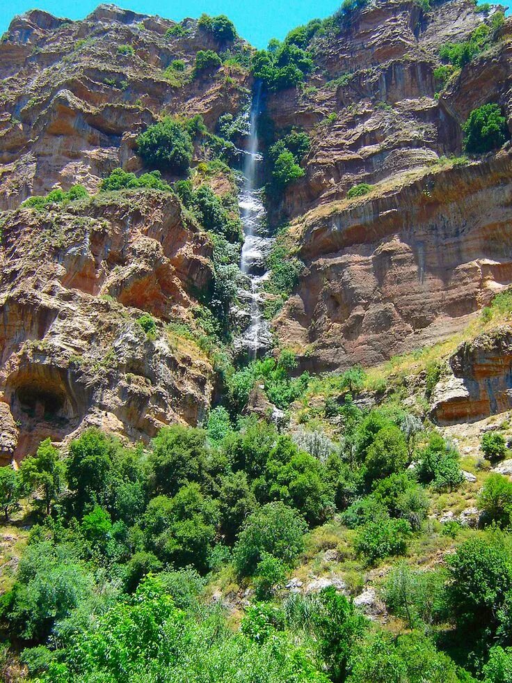 Ливанская Горная Тропа Wild Trek Tour