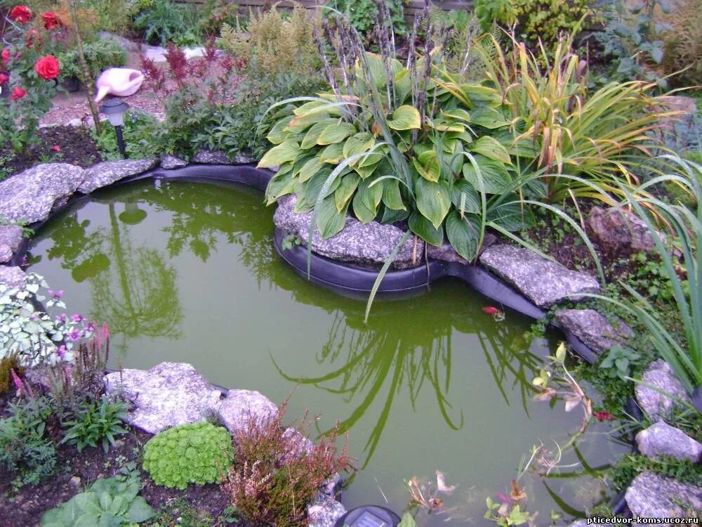 Купить большой пруд. Огородный прудик. Декоративный водоем на даче. Растения вокруг пруда. Маленький водоем в саду.
