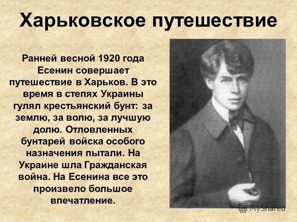 Биография Сергея Есенина. История про Сергея Александровича Есенина.