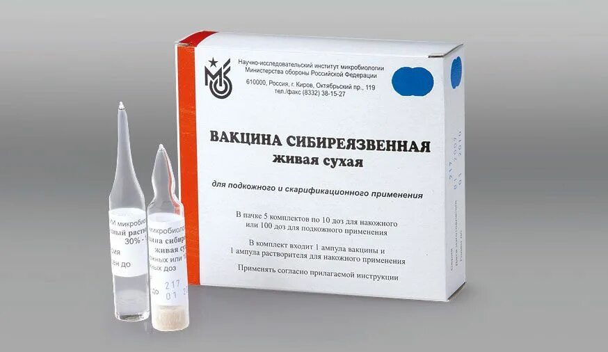 Иммуноглобулин кори прививка. Вакцина сибиреязвенная сти Живая сухая. Вакцина Живая из штамма "55-ВНИИВВИМ" против сибирской язвы. 1. Живая сибиреязвенная вакцина «сти». Вакцина сибирской язвы Живая сухая.