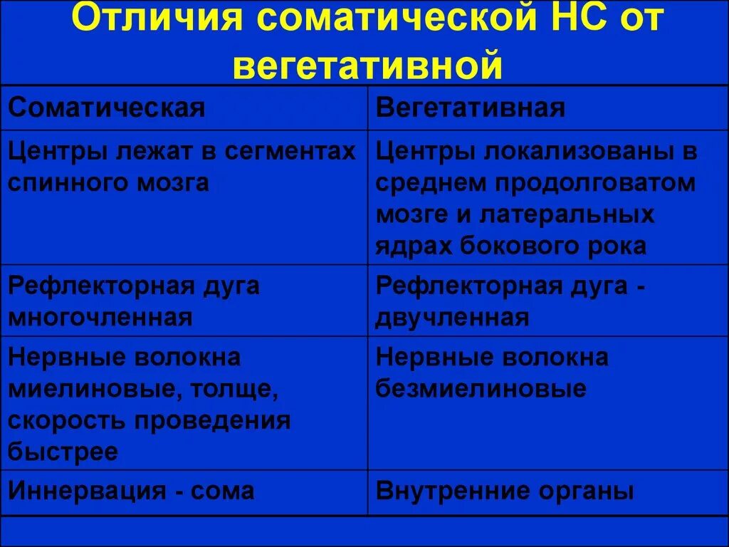 Соматический и вегетативный различия. Соматическая и вегетативная рефлекторная дуга отличия. Соматический и вегетативный рефлекс отличие. Отличия соматической и вегетативной рефлекторных дуг. Отличие рефлекторной дуги вегетативного и соматического рефлексов.