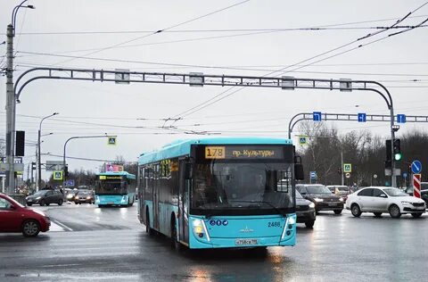 Маршрут 199 санкт петербург