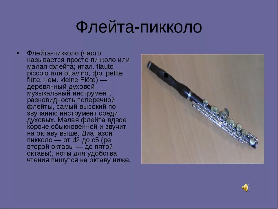 Флейта какая группа. Флейта пикколо строение. флейта пикколо описание. блок флейта пикколо. флейта деревянный духовой музыкальный инструмент с описанием.