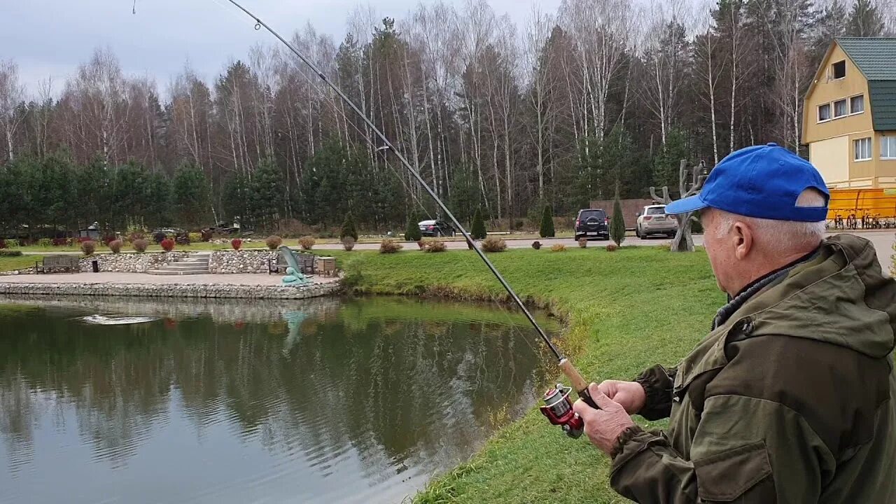 Форелевый хутор псков. Форелевый Хутор Печорский. Форелевая ферма Печоры. Форелевое хозяйство Псковская область.