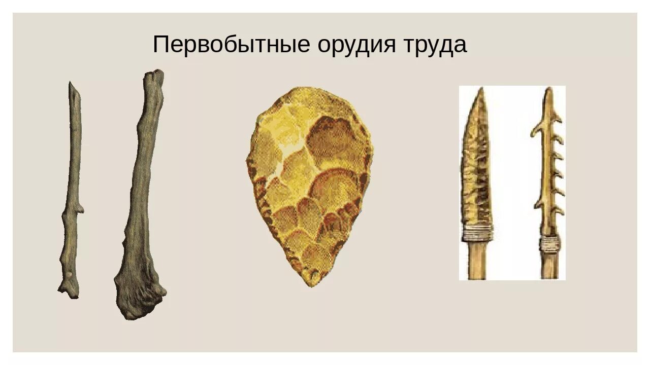 Какие орудия труда использовали. Палка копалка орудие труда древнейших людей. Палка копалка первобытного человека. Орудия труда древнего человека палка копалка.