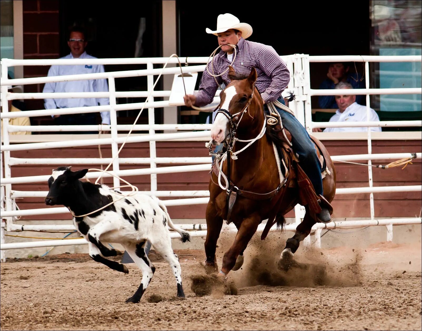 Rodeo speed