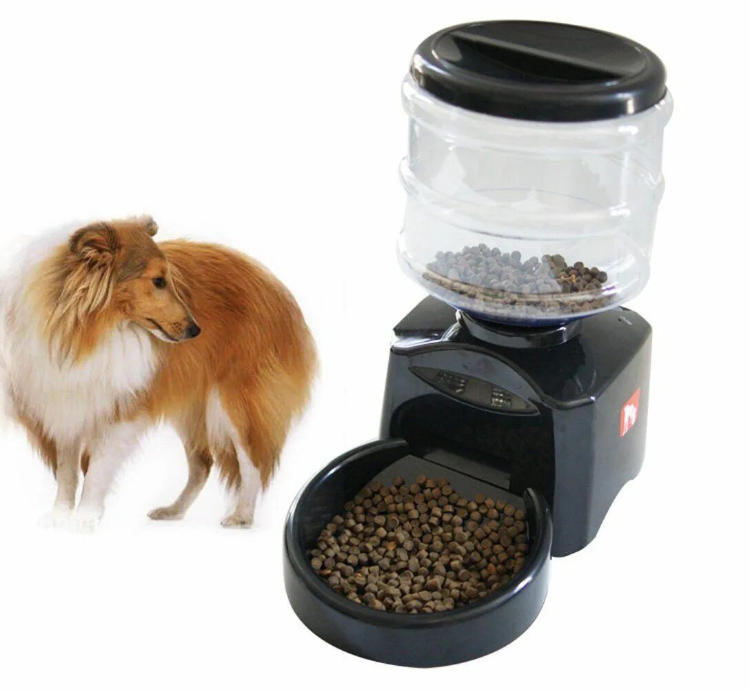 Кормушка Automatic Pet Feeder. Автокормушки для собак Pet Feeder. Автокормушка Petwant PF-105. Автокормушка для собак Федекс.