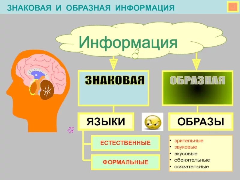 Образное представление информации. Образная информация. информация знаковая и образная. образная информация это в информатике. образная форма информации.