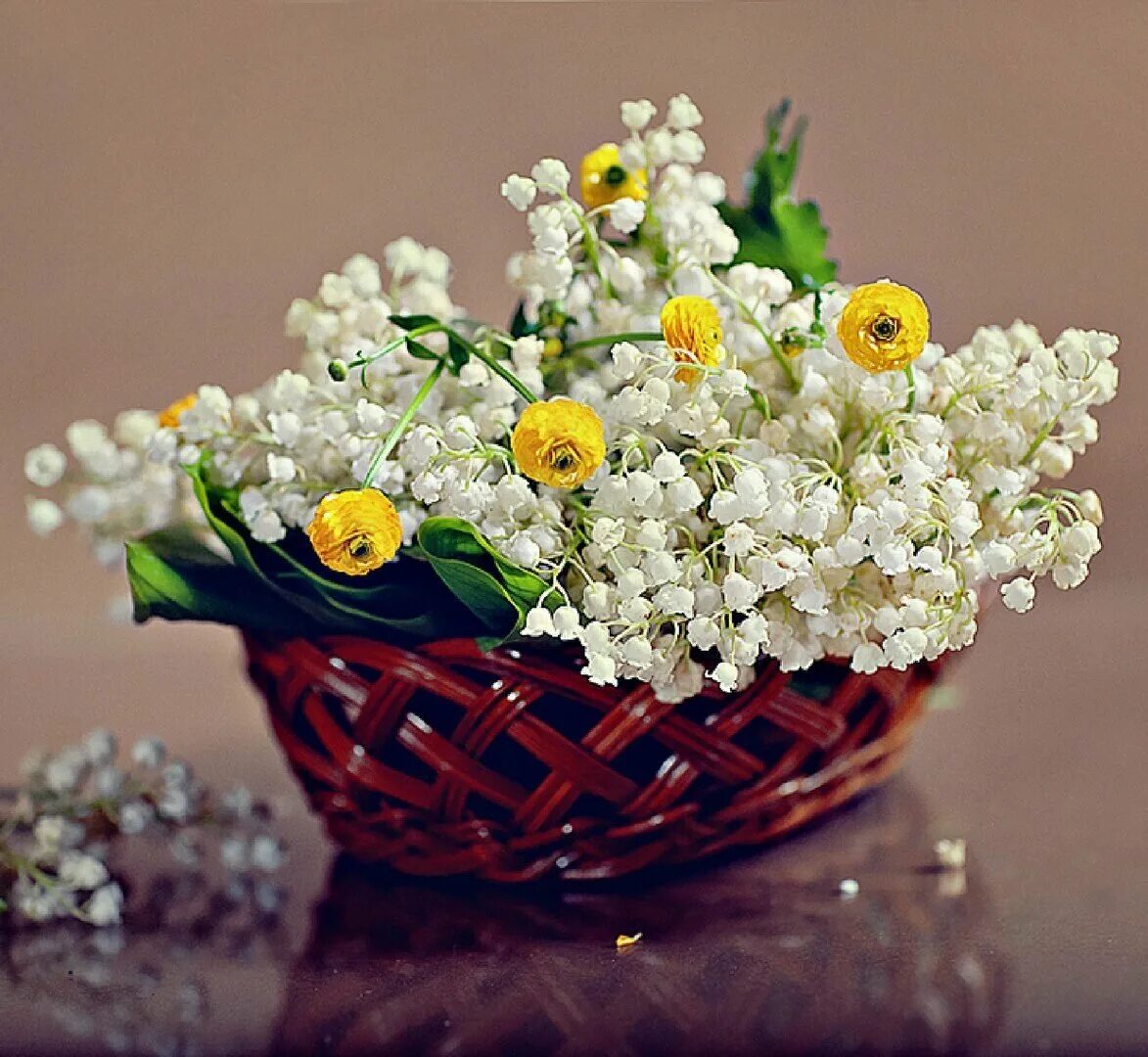 красивый букет цветов. букет весенних цветов. девушка с букетом ромашек. поздравляю! (цветок). красивый букет полевых цветов.