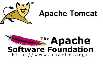 Apache tomcat. Tomcat животное. tomcat забей.
