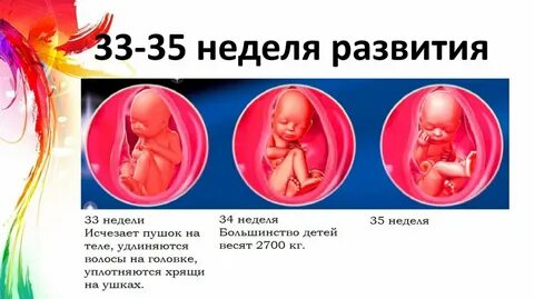 Почему 42 недели