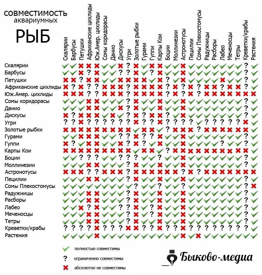 Таблица совместимости аквариумных рыбок в одном. Таблица совместимости аквариумных рыбок с другими рыбками. Совместимость рыбок в аквариуме 100 литров таблица. Совместимость золотых рыбок с другими рыбками таблица. Петухи рыбы совместимость