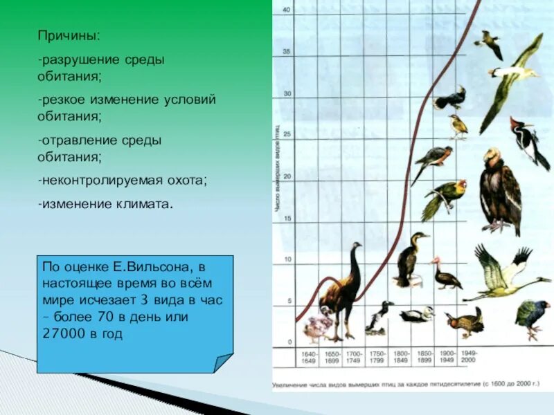 Связь с условиями среды. Изменение среды обитания. Изменение условий среды обитания. Изменение среды обитания животных. Разрушение среды обитания.