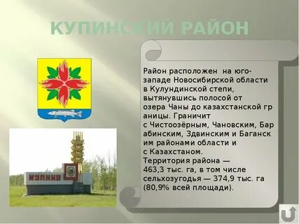 Купино новосибирская область погода гисметео