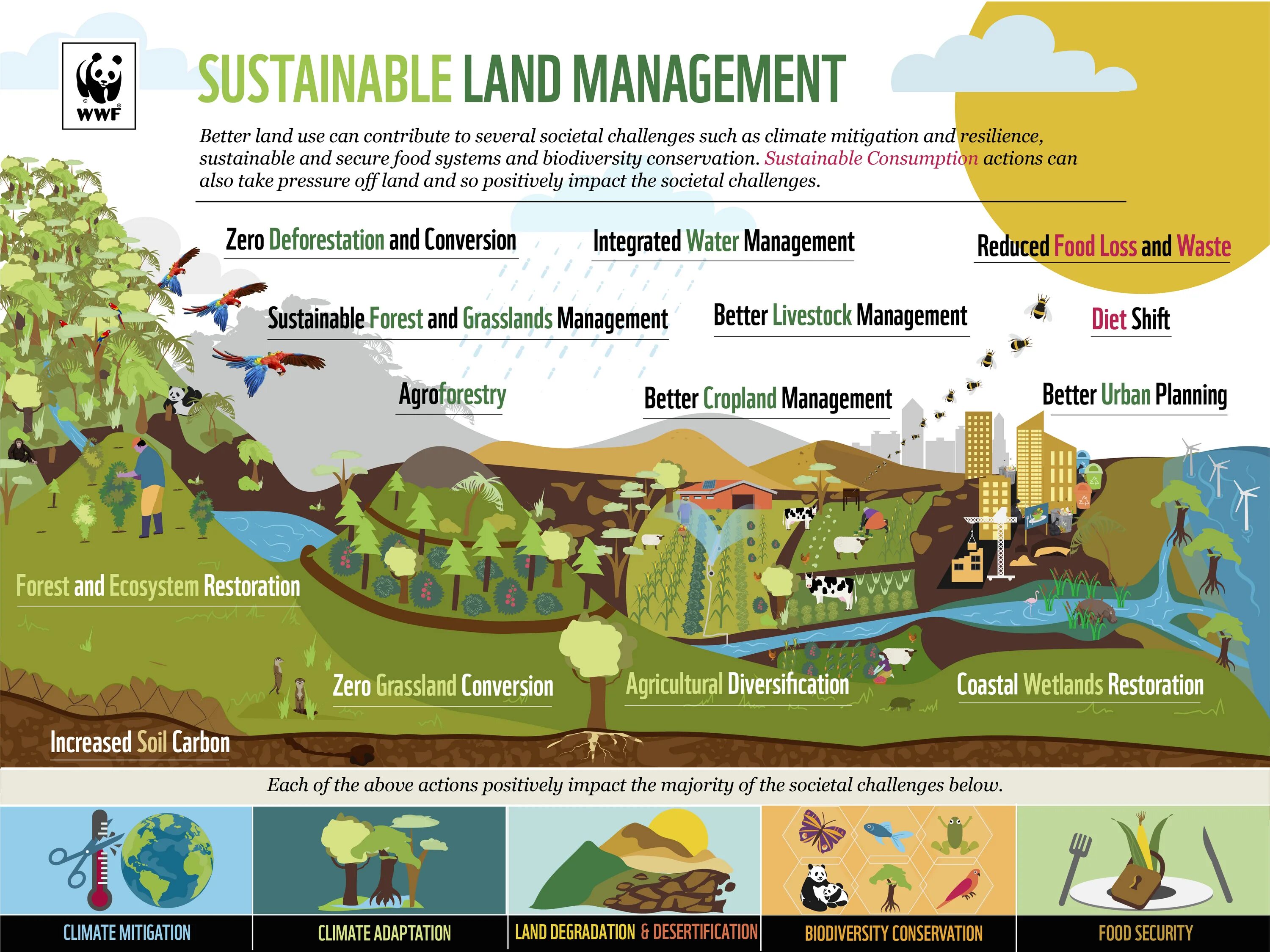 Landuse. Types land use planning. Land use. Land use. Land use planner.