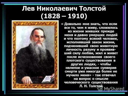 Чем занимался лев николаевич толстой