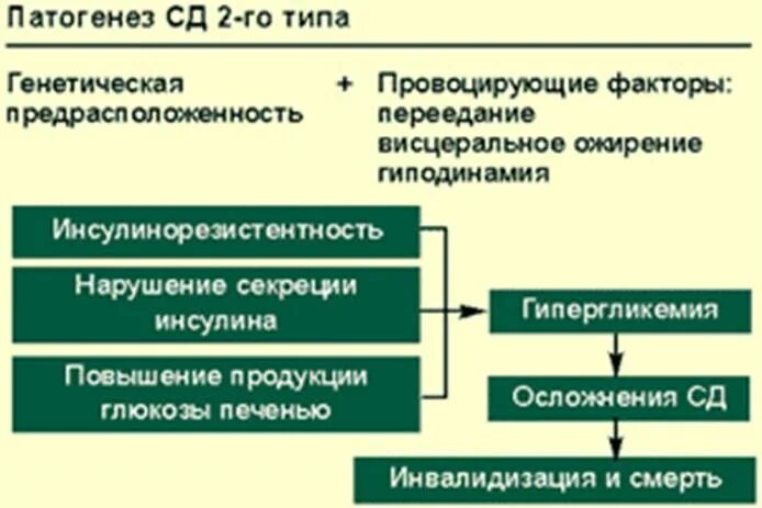 Патогенез сахарного диабета 2-го типа. Патогенез развития сд2. Патогенетический механизм сахарного диабета 2 типа. Механизм развития СД 2 типа.