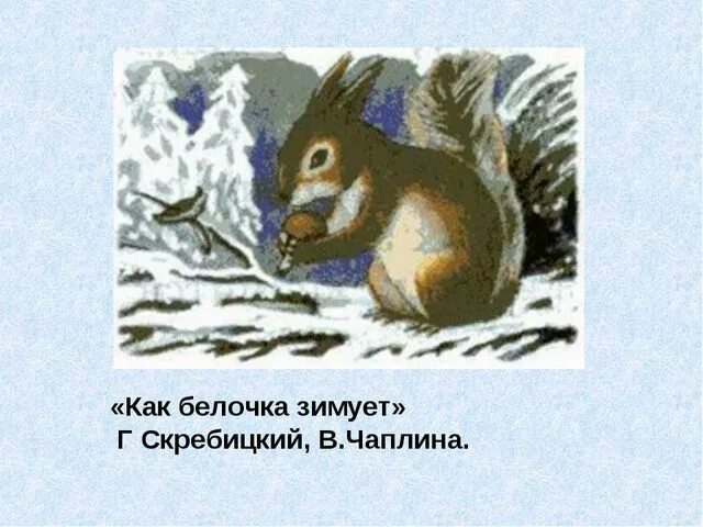 Сказка как белочка зимует. Г скребицкий как белочка зимует. скребицкий чаплина как белочка зимует. чтение г.скребицкий «как белочка зимует».. г скребицкий и в чаплина белочке зимой.