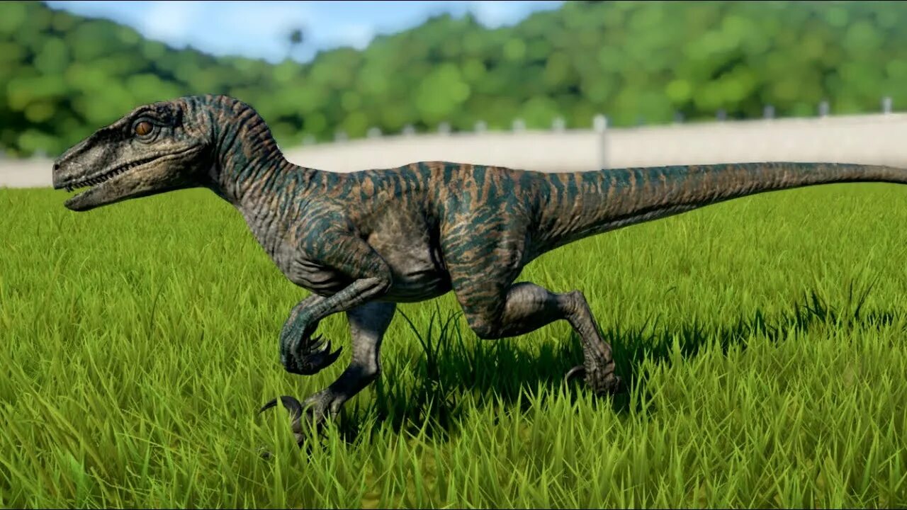 Динозавр велоцераптор. Велоцираптор Монголенсис. Велоцераптор Jurassic World Evolution. Jurassic World Evolution Велоцираптор.