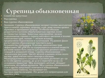 Признаки диких