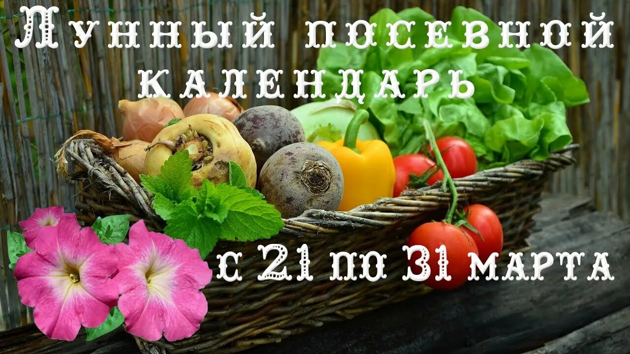 Луны огородника на март. Лунный посевной на март. Посевной календарь на март. Мартовский лунный календарь для огородника. Семена для посадки в огороде.